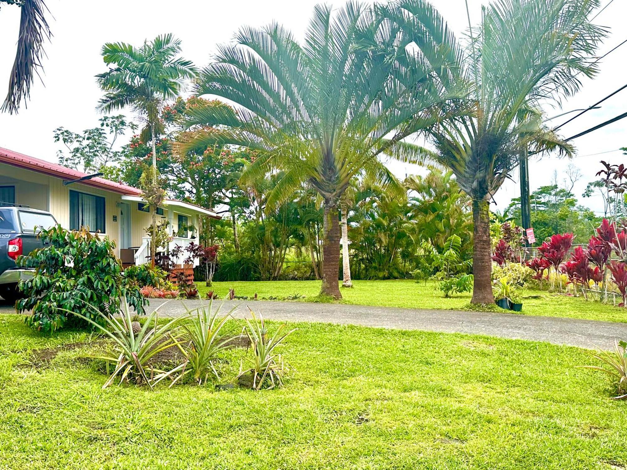 Big Island Getaway Διαμέρισμα Pahoa Εξωτερικό φωτογραφία
